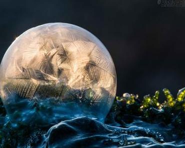 Richie´s Blick auf die Welt #Seifenblasen #Gefroren #Winter