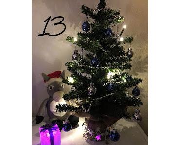 Türchen 13 – Interview mit I. Reen Bow + Gewinnspiel