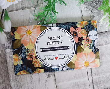 BPS – Dream Catcher Feather Stamping Plate*