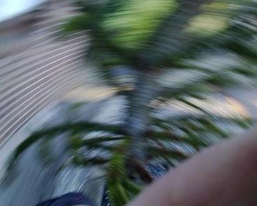 Die wilde Kamera: Ausschuss!