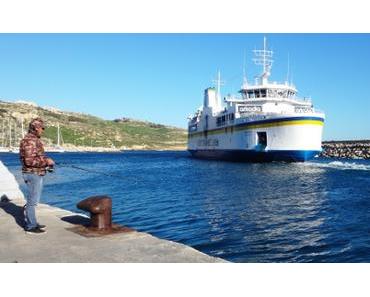 Malta: glühende Flossen in Gozo