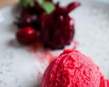Hibiskus-Cranberry-Sorbet: Gang Nr. 5 beim #10GängefüreinHalleluja