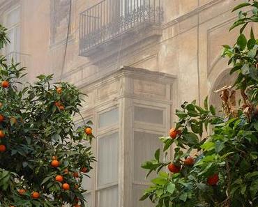 VALENCIA IM WINTER