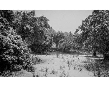 Sonntagsausflügler zog es in die Tramuntana