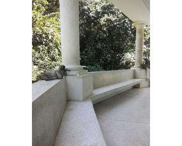 Die Kennzeichen eines modernen Zen