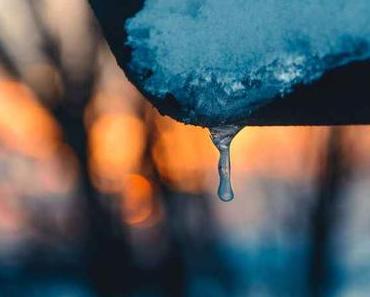 Auf der Suche nach der besten Klostersuppe Wiens – wo essen Obdachlose?