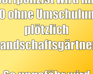 wallpaper-1689754
