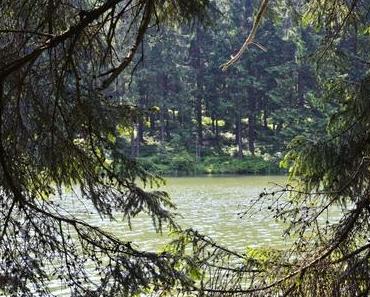 Urlaub im Harz – natürlich mit dem Faltcaravan