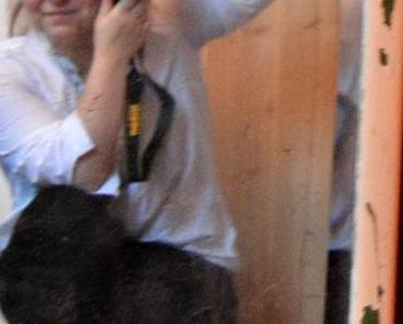 internationaler Frauentag