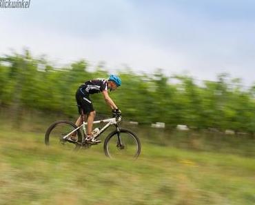 Richie´s Blick auf die Welt #Mountainbike #Rennen #Weinberge