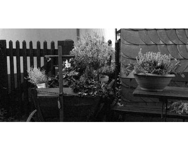 Fotowalk in Cronenberg, Wuppertal