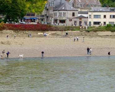 Landgewinnung in der Wallonie