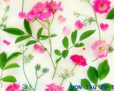 Was goggle bzw. blogger zur DSGVO sagen