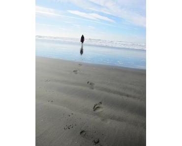 Hamburg did it – half way