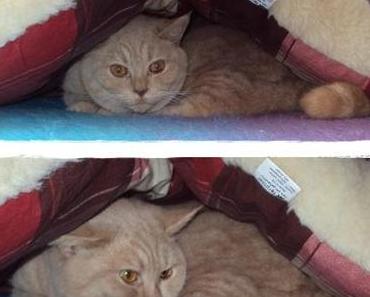 Frühjahrsmüdigkeit?