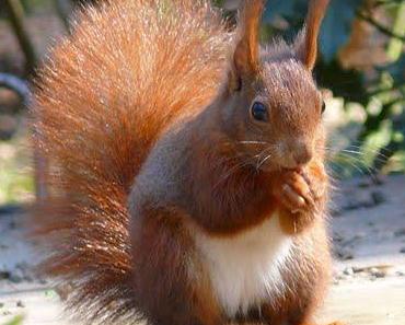 Tue Deinem Nächsten Gutes und Du wirst Gutes erfahren!