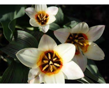 Über den Wert von Dingen und Menschen