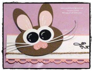 ein kleiner Hase ……