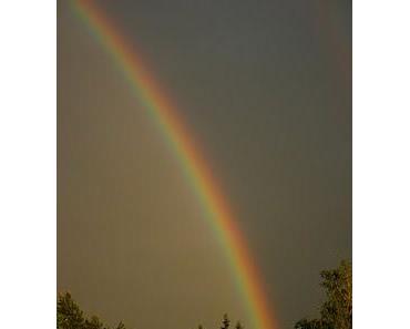 Für alle, die den Regenbogen lieben ...