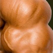 Training für den Wahrnehmungsmuskel