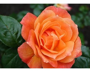 Wie viel Zeit ist viel Zeit?