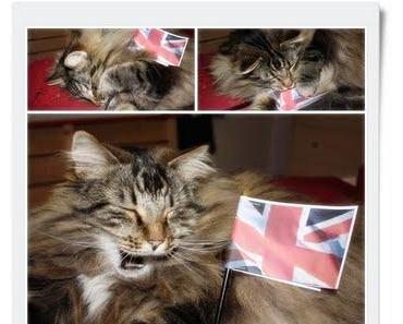 und Katzenjammer