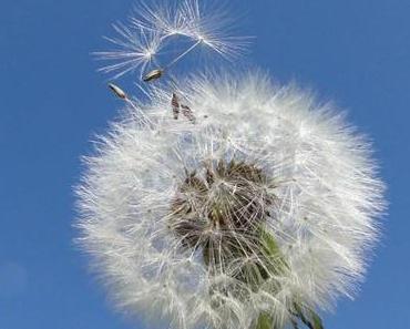 Das Gruselige einer königlichen Hochzeit