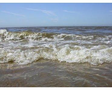Wieder etwas Humorvolles - Ein Mann möchte lernen, die Frauen zu verstehen