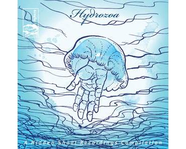 Hydrozoa [Hidden Shoal] - Feiner Labelsampler für lau ... Tipp!
