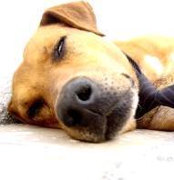 Weniger tun, mehr erreichen