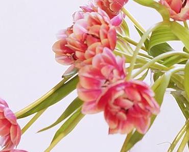 wallpaper-1689754