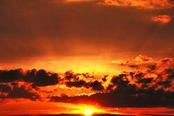 wallpaper-1689754