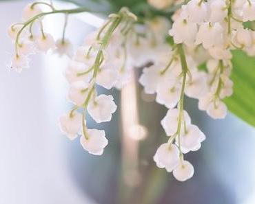 wallpaper-1689754