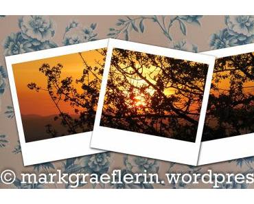 wallpaper-1689754