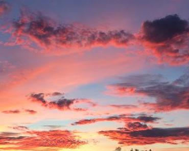 wallpaper-1689754