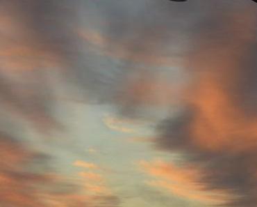 wallpaper-1689754