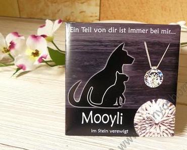 Ein Stück von Rumpel immer bei mir #Mooyli #Schmuckstück #Gewinnspiel