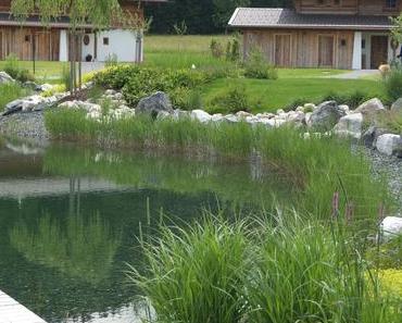 Ruhe. Gelassenheit. Und welch ein Blick