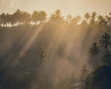 Willkommen im Paradies – Mirissa Beach, der perfekte Strand im Süden Sri Lanka’s
