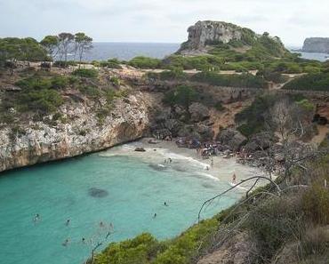 Qualleninvasion an idyllischem Mallorca-Strand