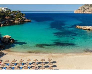 Langzeitarbeitslose reinigen Strände der Gemeinde Andratx