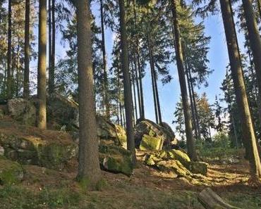 Gutenberg Editor Testfahrt