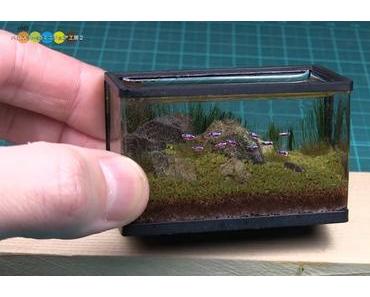 Typ baut ein realistisches Mini-Aquarium
