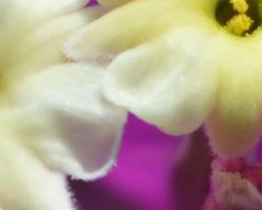 wallpaper-1689754