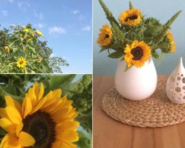 Friday-Flowerday – oder – Ja, ist denn schon Herbst?