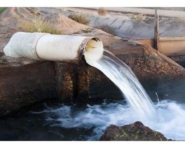 x-te Schließung der Strände von Can Pere Antoni und Ciudad Jardín