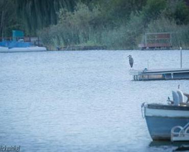 Cinny in Travemuende - Tag 2 #Reisen #Urlaub #Norden