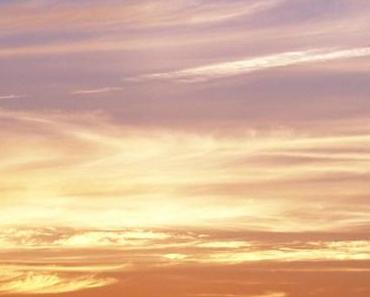 wallpaper-1689754