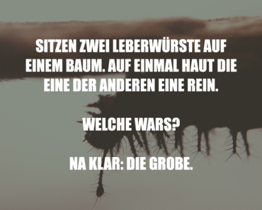 wallpaper-1689754