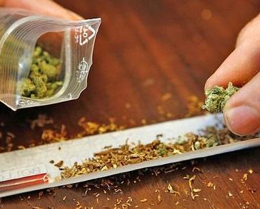 CBD-Wald auf Mallorca